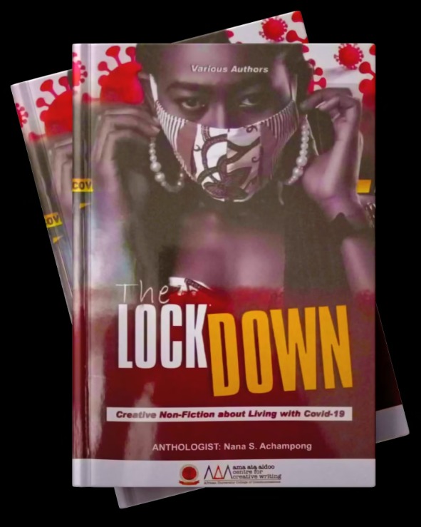 Lockdown book cover